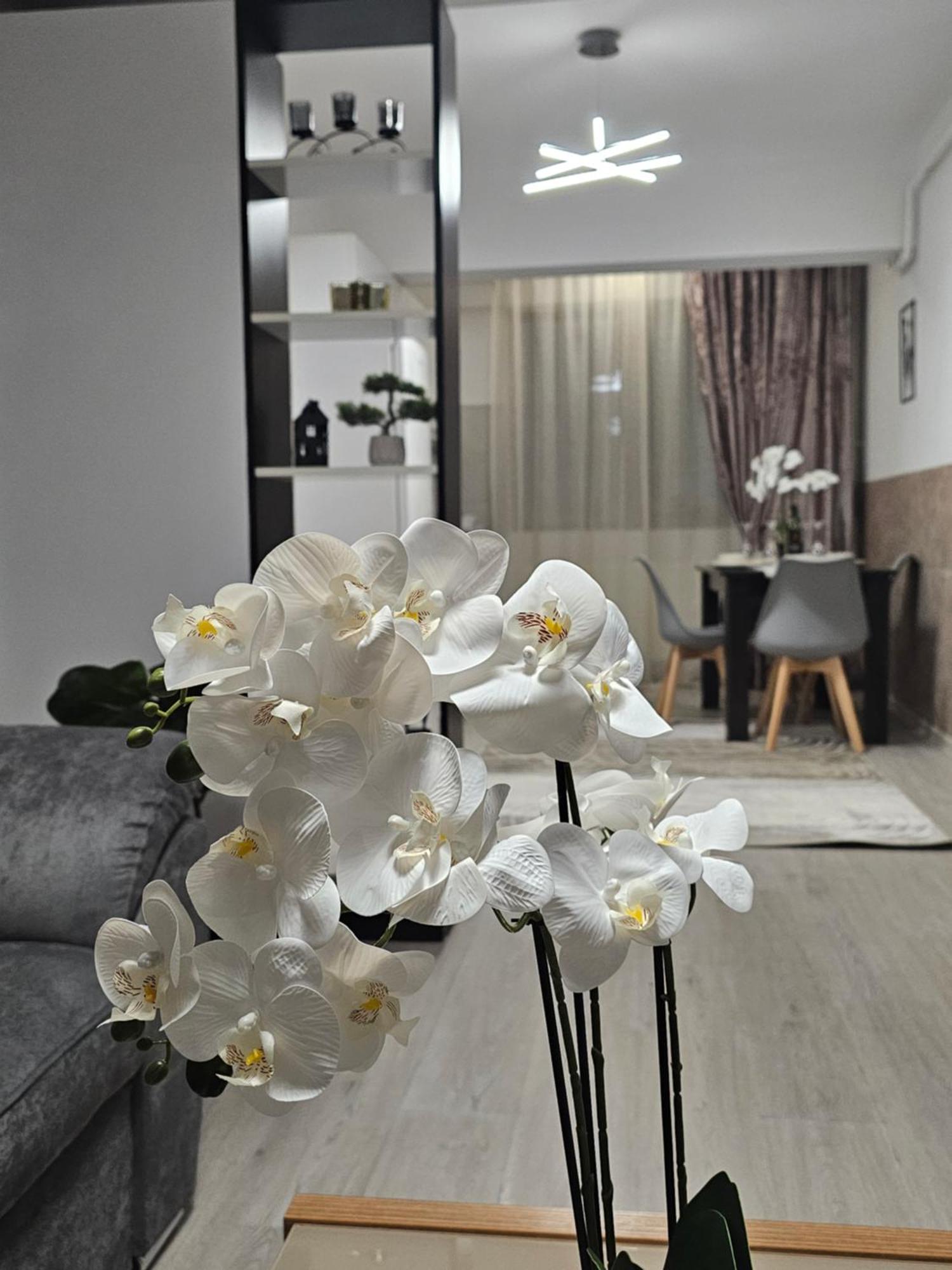 Enjoy My Home Near Palas Mall 2 Iasi Bagian luar foto